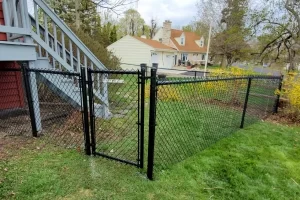 Saint Francis Chain Link Fence fence black 300x200