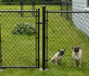 Milwaukee Dog Fences dogfence3 300x257
