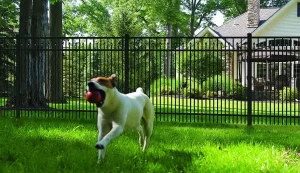 Milwaukee Dog Fences dogfence4 300x173